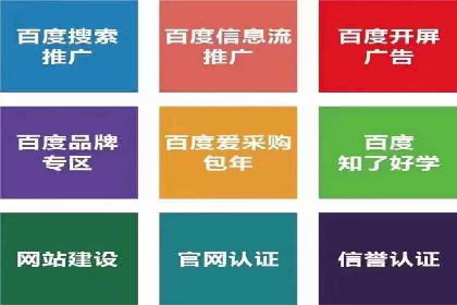 竞价托管sem的胜利果实：某零售商的营销策略